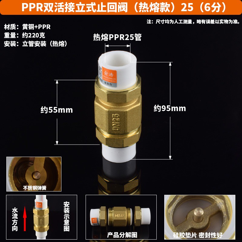 PPR水管止回阀iPE双活接单向阀自来水管水表逆止阀铜卧式立式4分2