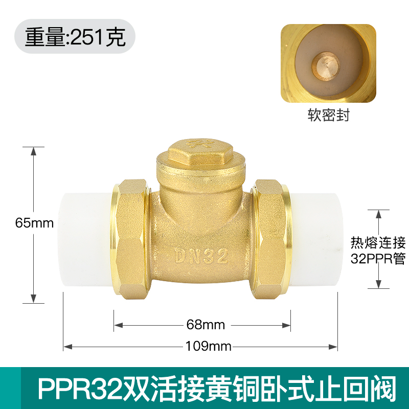 卧式ppr止回阀热熔双活接铜单向阀4分6分1寸20 25T 32家用水管配