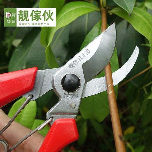 台湾进口靓傢伙盆景修枝剪120剪定铗sk5园林工具园艺剪刀修花剪