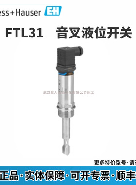 E+H 音叉液位开关FTL31-AA4U2BAWBJ