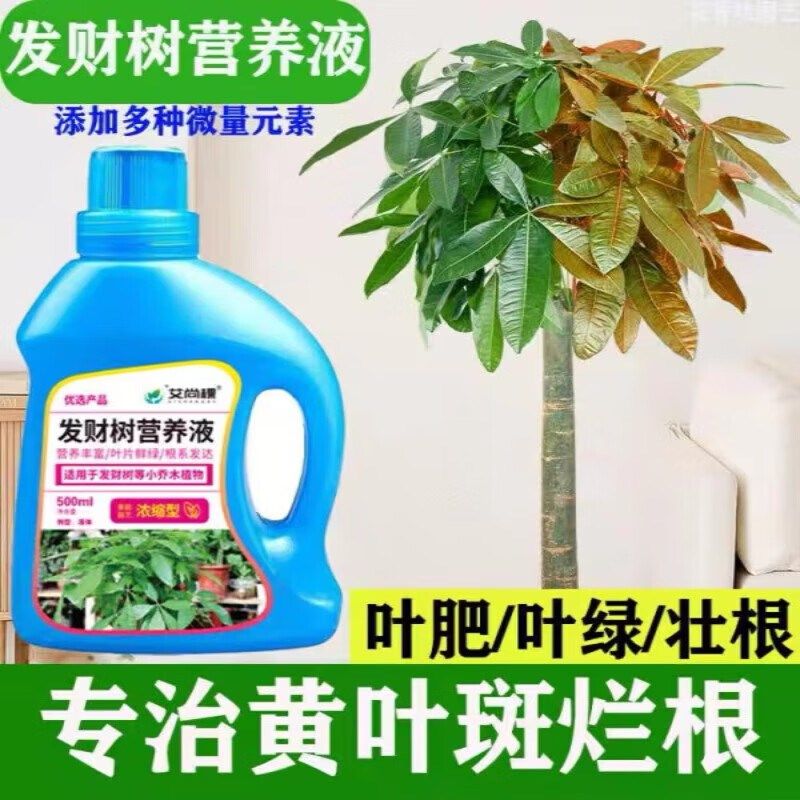 发财树专用营养液黄叶急救植物通用营养液盆栽绿植花肥发财树肥料,鲜花速递/花卉仿真/绿植园艺,家庭园艺肥料,淘宝优惠券,粉丝福利购,淘宝优惠卷