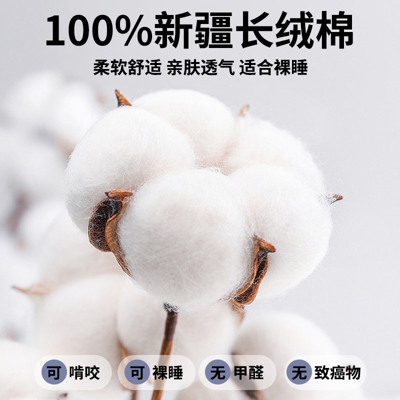 全棉床笠单件100纯棉床罩三件套2024新款四季通用床单保护床垫罩