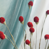 店装 服装 饰橱窗摆件粘花草莓花 田园风格 云南千日红干花花束混合式