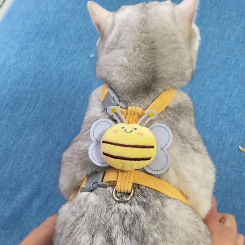 猫咪牵引绳防挣脱外出专用胸背带背心式兔子遛猫链狗狗绳子小型犬