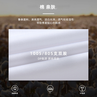 男士 棉衬衣商务男装 长袖 工装 职业装 鲁泰面料棉DP成衣免烫衬衫