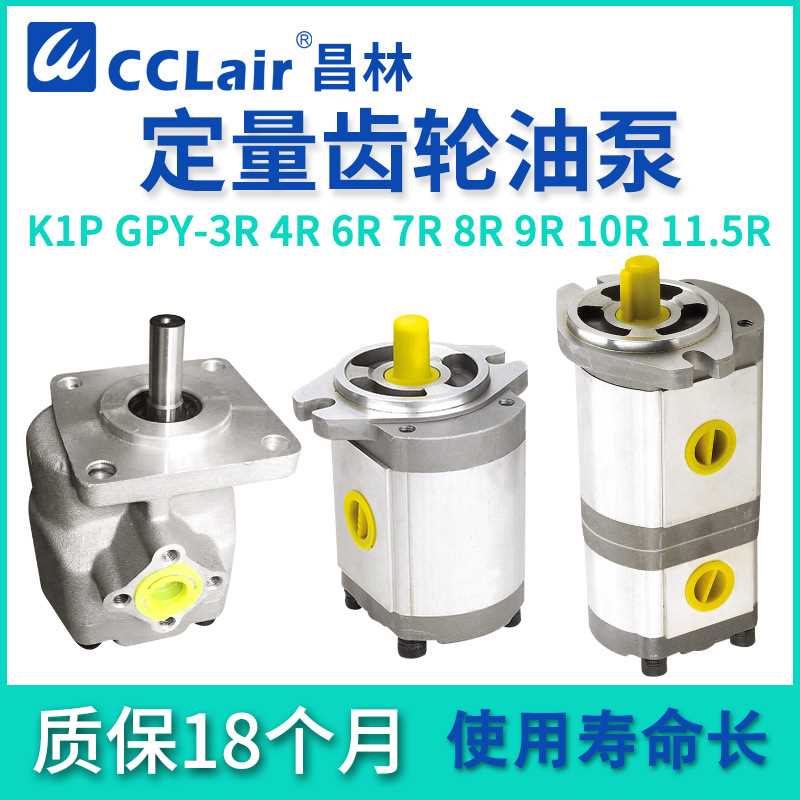 GPY-3R4R5.8R7R9R10R11.5高压KIP齿轮泵K1P1/2/3/4/6/7/9/10R11A