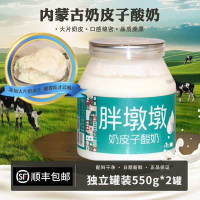 胖墩墩奶皮子酸奶添加大片奶皮