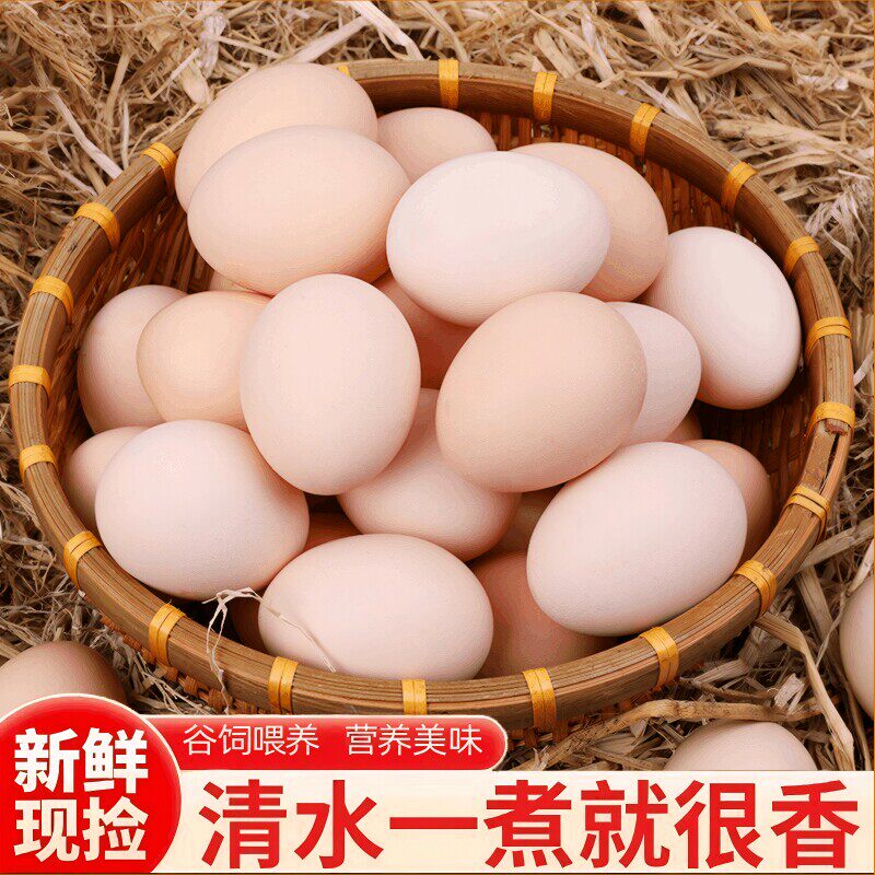 土鸡蛋新鲜鸡蛋大个50g/枚特大码