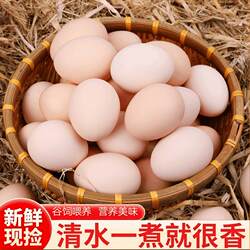 土鸡蛋新鲜鸡蛋大个50g/枚特大码农家散养新鲜蛋超正宗柴鸡蛋