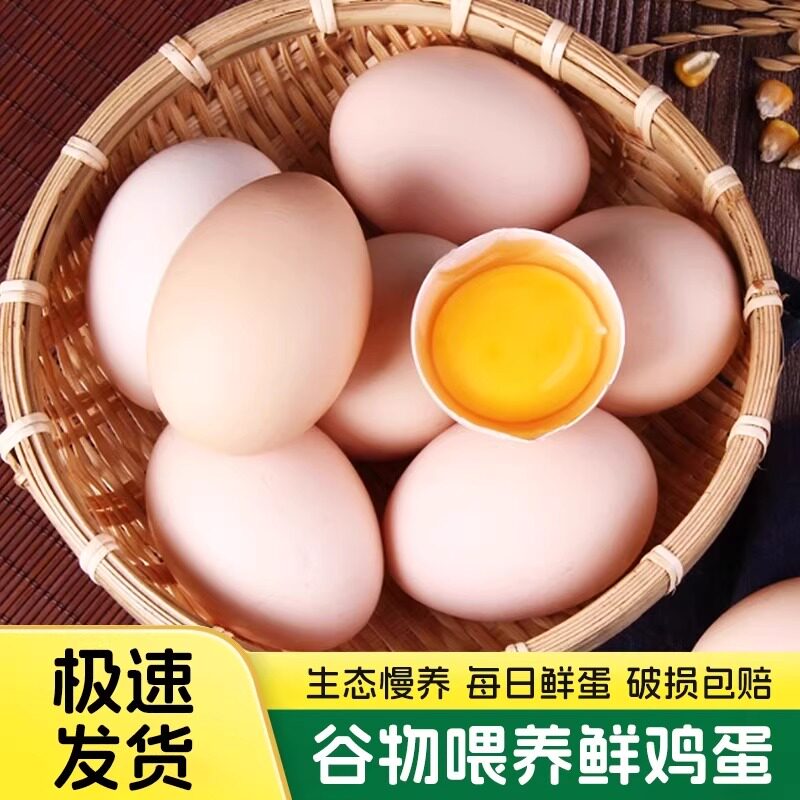 农家鸡蛋50g/枚谷物鲜鸡蛋泡沫装散养五谷杂粮饲养谷物大鸡蛋