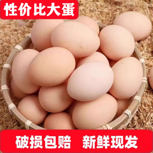 土鸡蛋新鲜鸡蛋大50g特大码