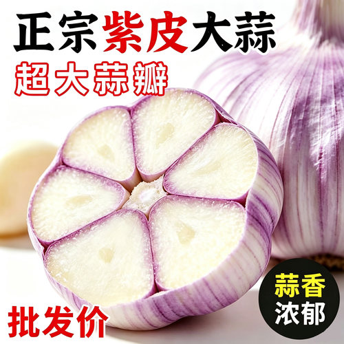 新干蒜头紫皮白皮蒜头河南
