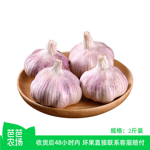 紫皮干大蒜2斤山东河南