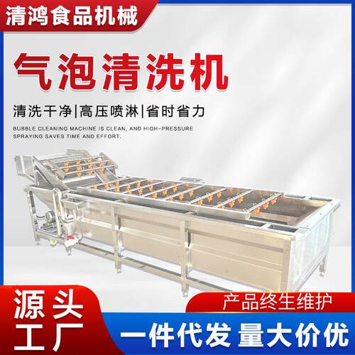 现货沃柑气泡清洗机 水果清洗打蜡分级设备 山楂臭氧去农残清洗机