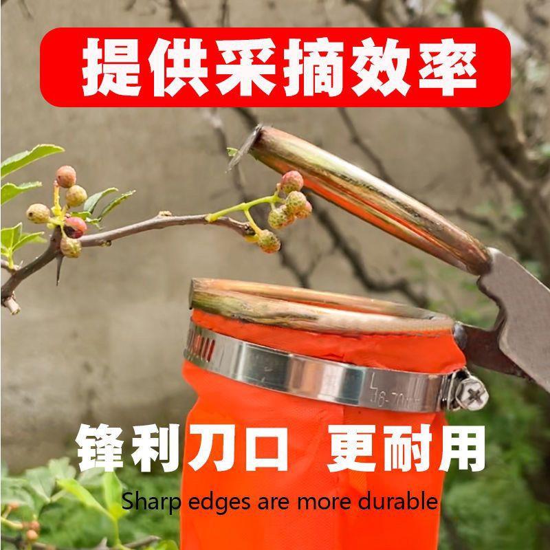 新款花椒采摘器摘枣枇杷樱桃桑葚农用工具一整套采摘酸枣芽神器