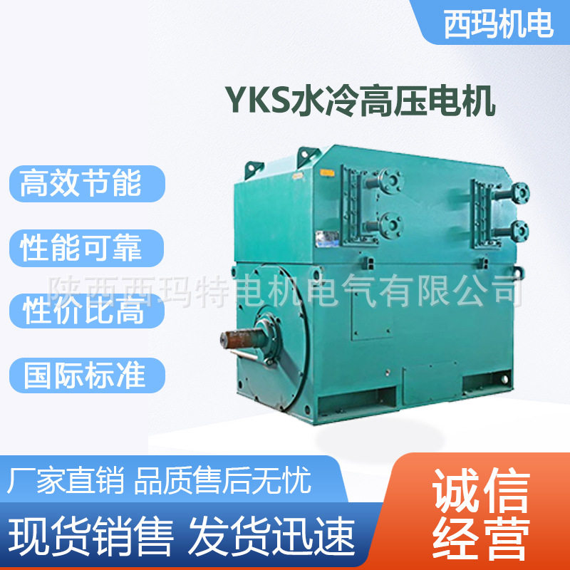 西安 泰富西玛电机YKS800-4极4000KW 10KV高压交流三相异步电动机