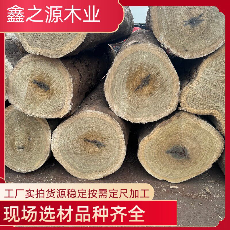 榄仁木原木  红黄榄仁家具装修全屋地板料 卡斯拉褐榄仁金丝柚