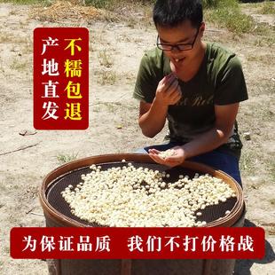 新货正宗福建建宁莲子干货去芯无硫农家新鲜手工白莲产地直销建莲