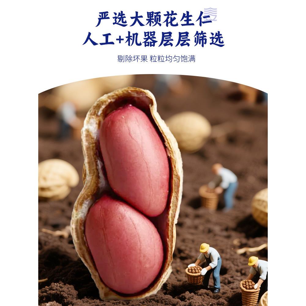 三关六码头米浆花生解馋多味酥脆熟下酒菜休闲小吃裹衣炒货即食