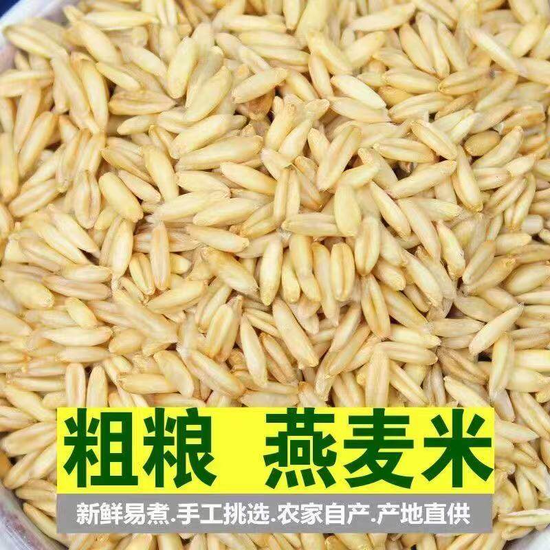 新货农家燕麦米农家自种燕麦仁全胚芽燕麦米五谷杂粮粗粮