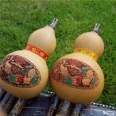 包邮 儿童学生初学练习 紫竹双音雕龙C调降B调A调 云南葫芦丝