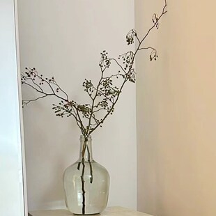 山归来鲜切花水培好养高级侘寂风摆件植物客厅摆设可做干花绿果