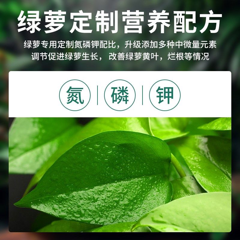 绿萝营养液通用型养花植物水培绿萝专用花肥料家用绿箩盆栽液体肥,鲜花速递/花卉仿真/绿植园艺,家庭园艺肥料,淘宝优惠券,粉丝福利购,淘宝优惠卷