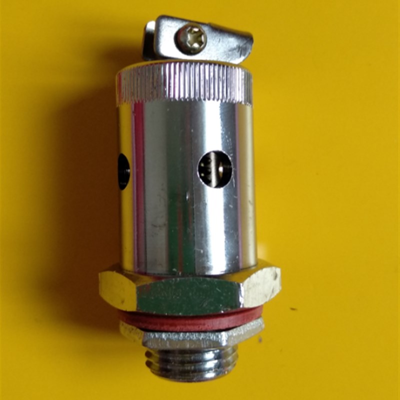 浙江新丰XFH-50MA 75MA 50CA 75CA立式灭菌器配件安全阀放气阀