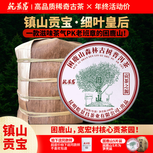 乾景昌2025年困鹿山古树普洱生茶