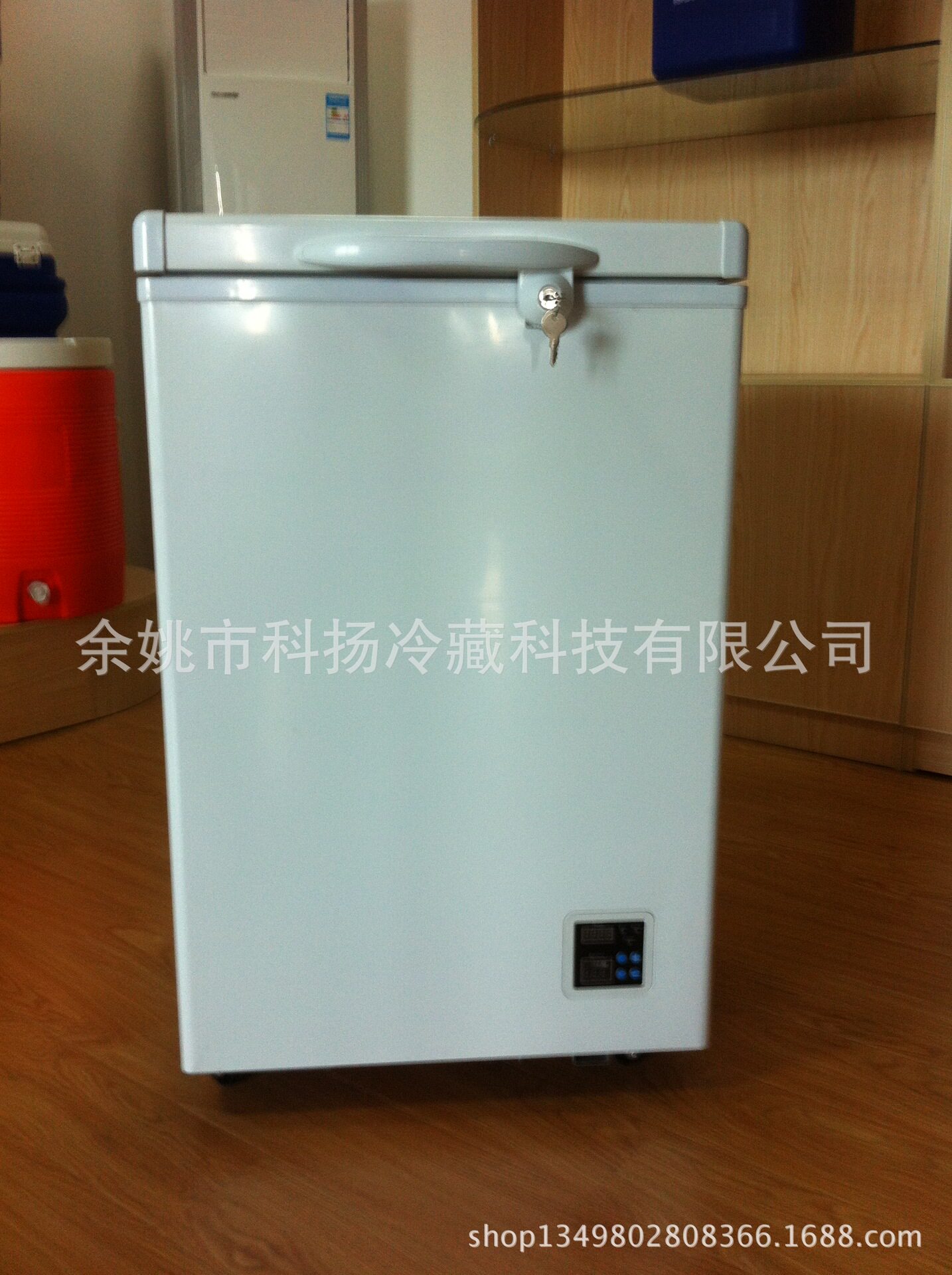 108L电子控温直流冷柜蓄电池冰柜插电太阳能冷柜车载冰箱12V24V