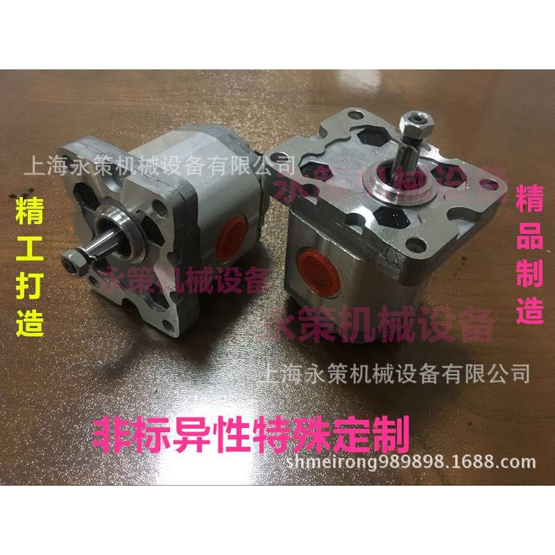 齿轮泵 液压油泵 BKP1B0D4.2TOL3 特殊齿轮泵 工业打油泵 输油泵