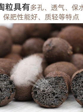 陶粒花用绿植盆栽铺面盆土填充陶土粒球轻质陶粒水培回填养花专用