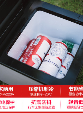 冰虎车载冰箱压缩机制冷可结冰12V24V车家两用冷冻冷藏迷你小冰柜