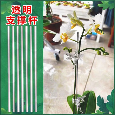 兰花支架透明杆绿植物蝴蝶兰支架亚克力园艺造型固定夹多肉支撑杆