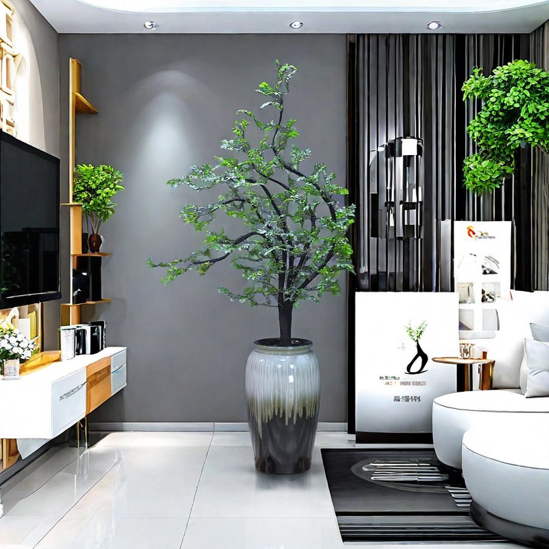 小叶紫檀盆景造型室内外绿植办公室玄关落地绿植名贵树黑骨茶好养