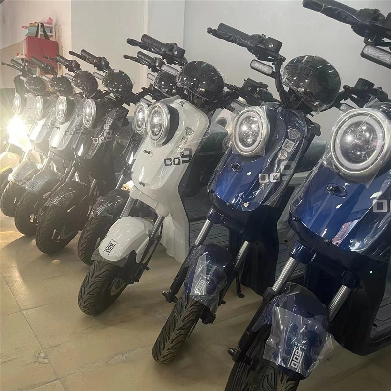 深远009  1.0  家用新国标轻便外卖送餐锂电池电动自行车