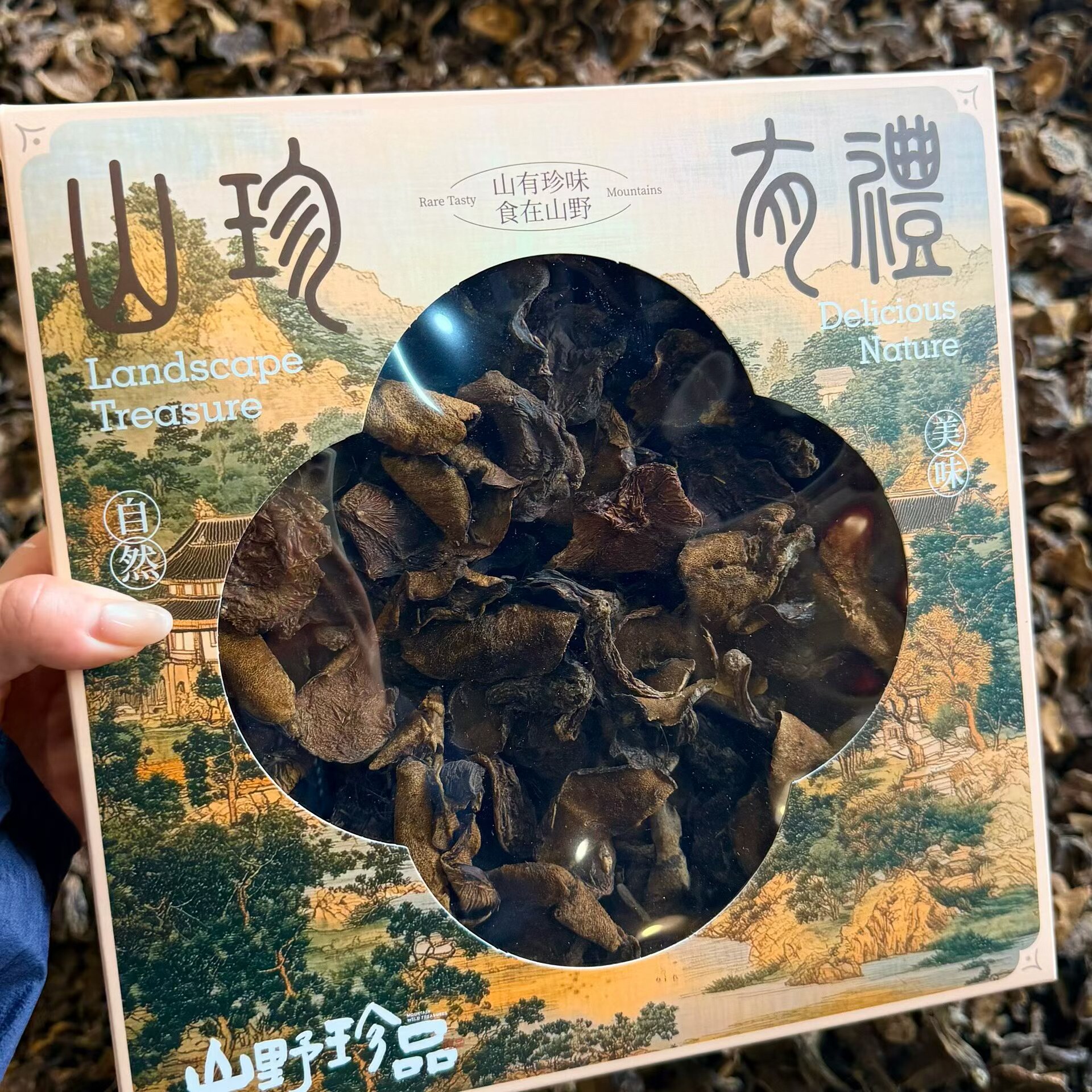 一乡朴趣沂蒙山特产蒙山松菇食用新鲜松茸/菌菇