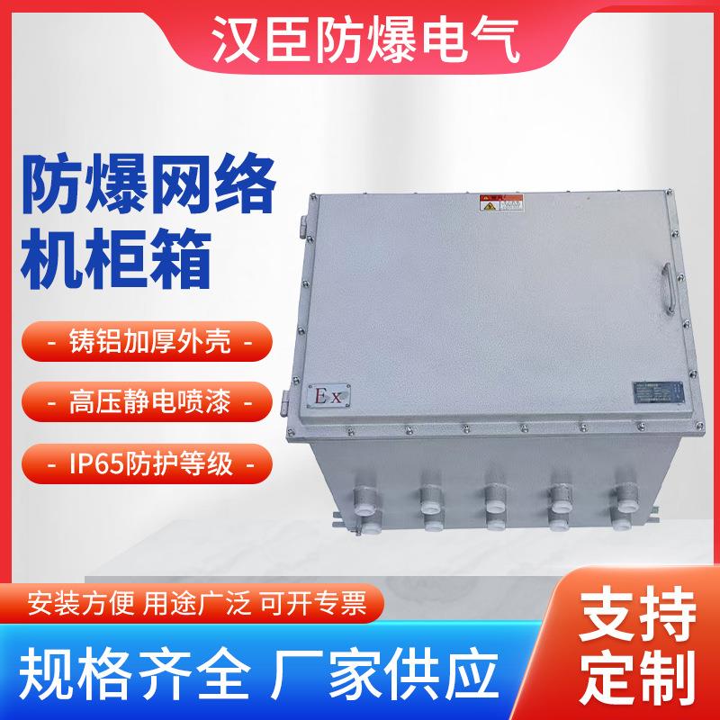 防爆网络机柜6u-42u强弱电柜交换机通信设备柜铝合金粉尘防爆机柜