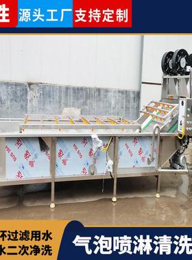 隆胜多功能翻浪洗菜机 茎叶类蔬菜气泡清洗机 超市蔬菜清洗设备