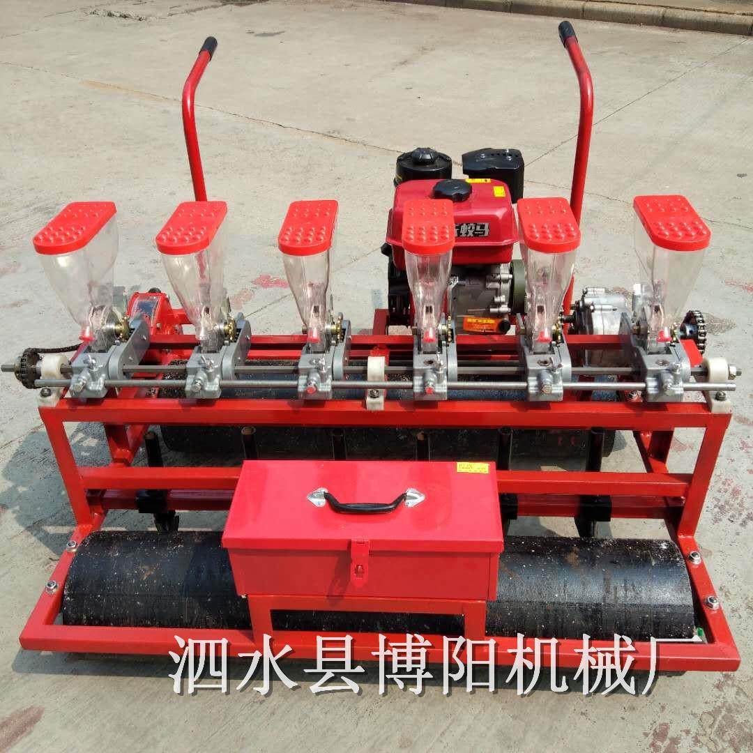 单粒小白菜香葱播种机 蔬菜多行汽油播种机 自走大棚种植农用设备,农机/农具/农膜,播种栽苗器/地膜机,淘宝优惠券,粉丝福利购,淘宝优惠卷