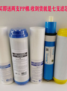 索尔司净水器滤芯SES-fz-B15/B09A/B10A/B11/RO75-B16F-1滤芯通用