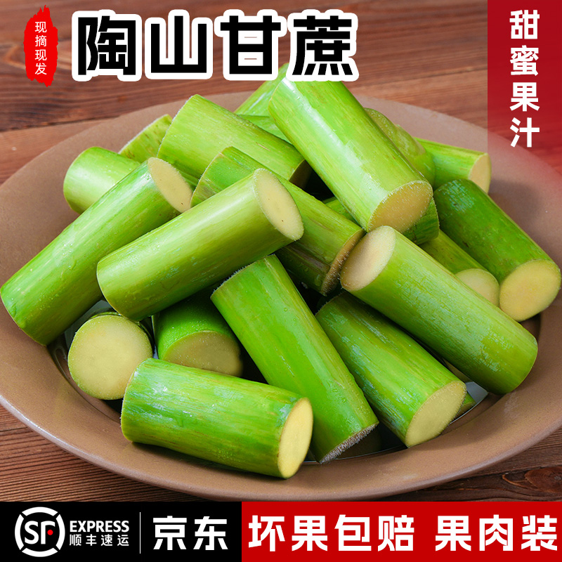 请认准 陶山发货地 正宗 松、脆、甜