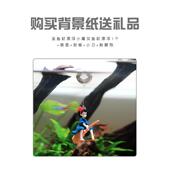 鱼缸背景贴纸鱼缸壁纸岩石鱼缸背景高清鱼缸自粘壁纸石头背景