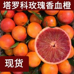 玫瑰血橙苖 玫瑰香橙树苖 橙子苖 万州玫瑰香橙盆栽当年结果