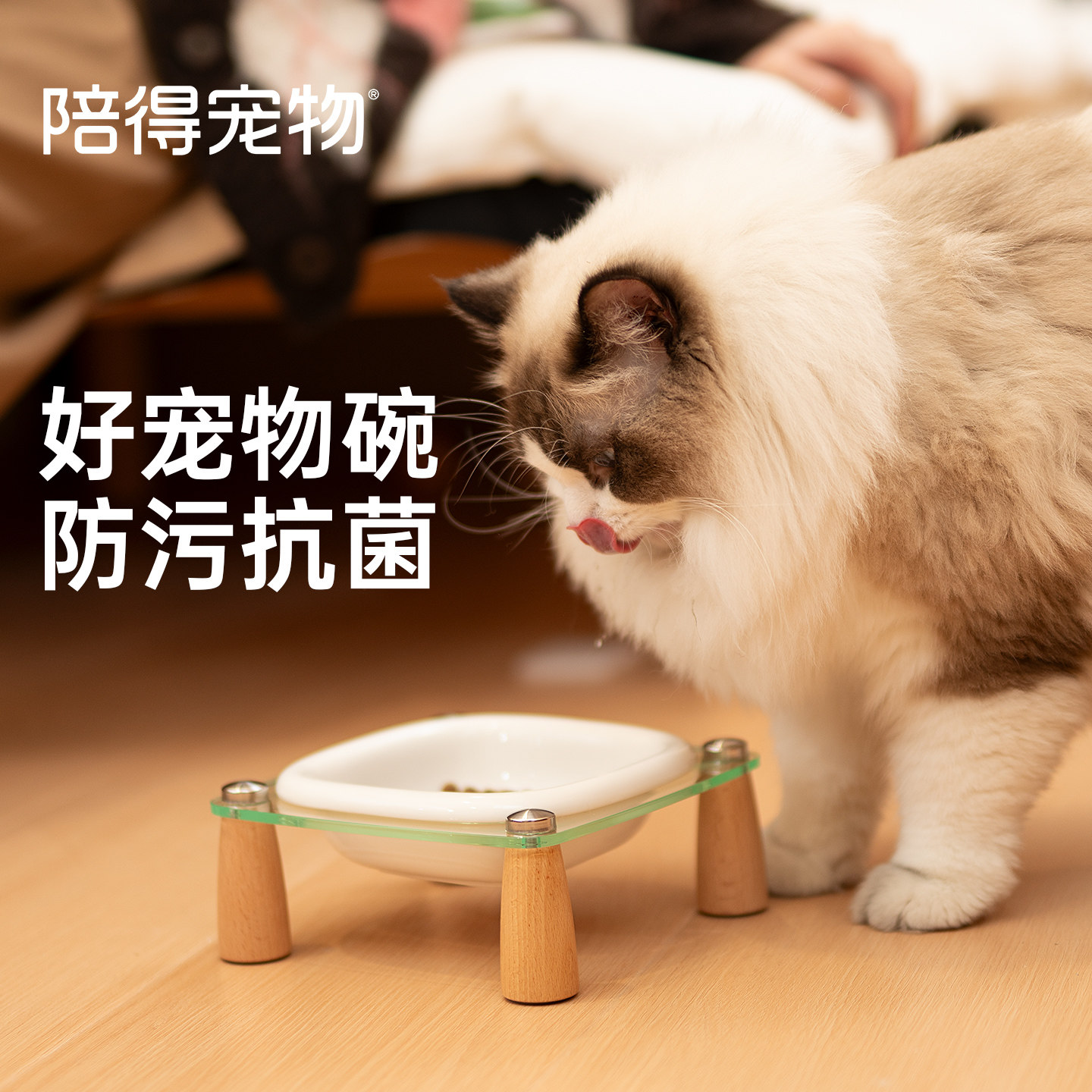 陪得宠物小方桌宠物碗餐桌狗碗猫食盆陶瓷宠物碗防打翻护颈椎食碗