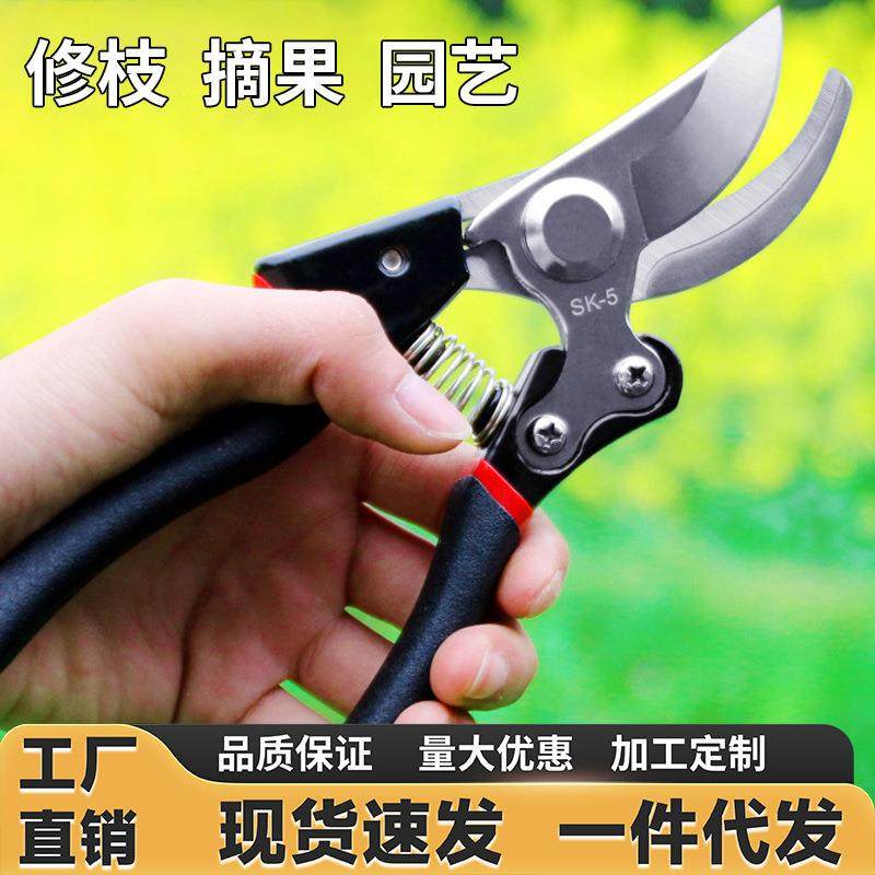 修枝剪园艺剪刀园林修剪果树修枝专用剪刀花艺修花剪刀花卉剪厂家