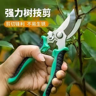 花剪枝园艺剪刀修枝剪省力修剪树枝果树竹签园林花卉专用花艺剪子