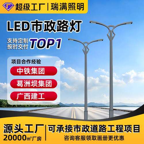 工厂新农村工程照明灯防水LED路灯户外路灯杆灯市政道路路灯杆