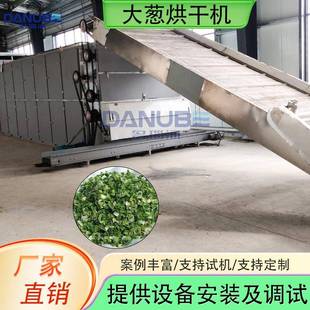 葱京葱清洗切碎烘干整套设备 网带大葱烘干机全自动青葱事菜四季