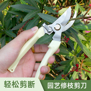 园艺剪修枝剪花剪园林剪刀花艺剪剪树枝果树剪刀枝剪修剪花卉剪子